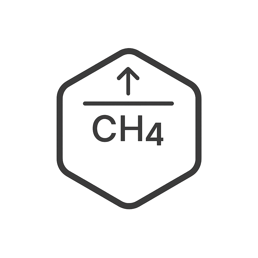 CH₄ baseline