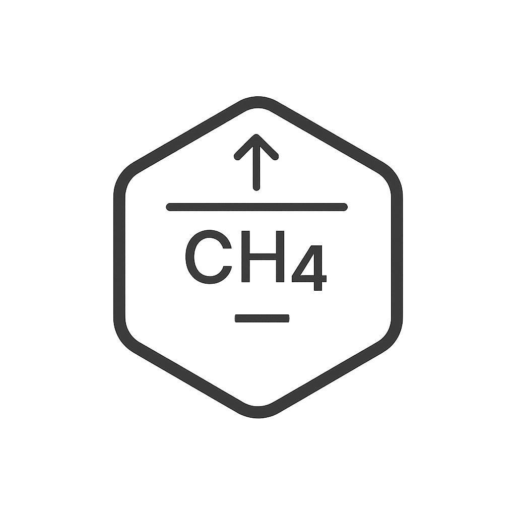 CH₄ emission project