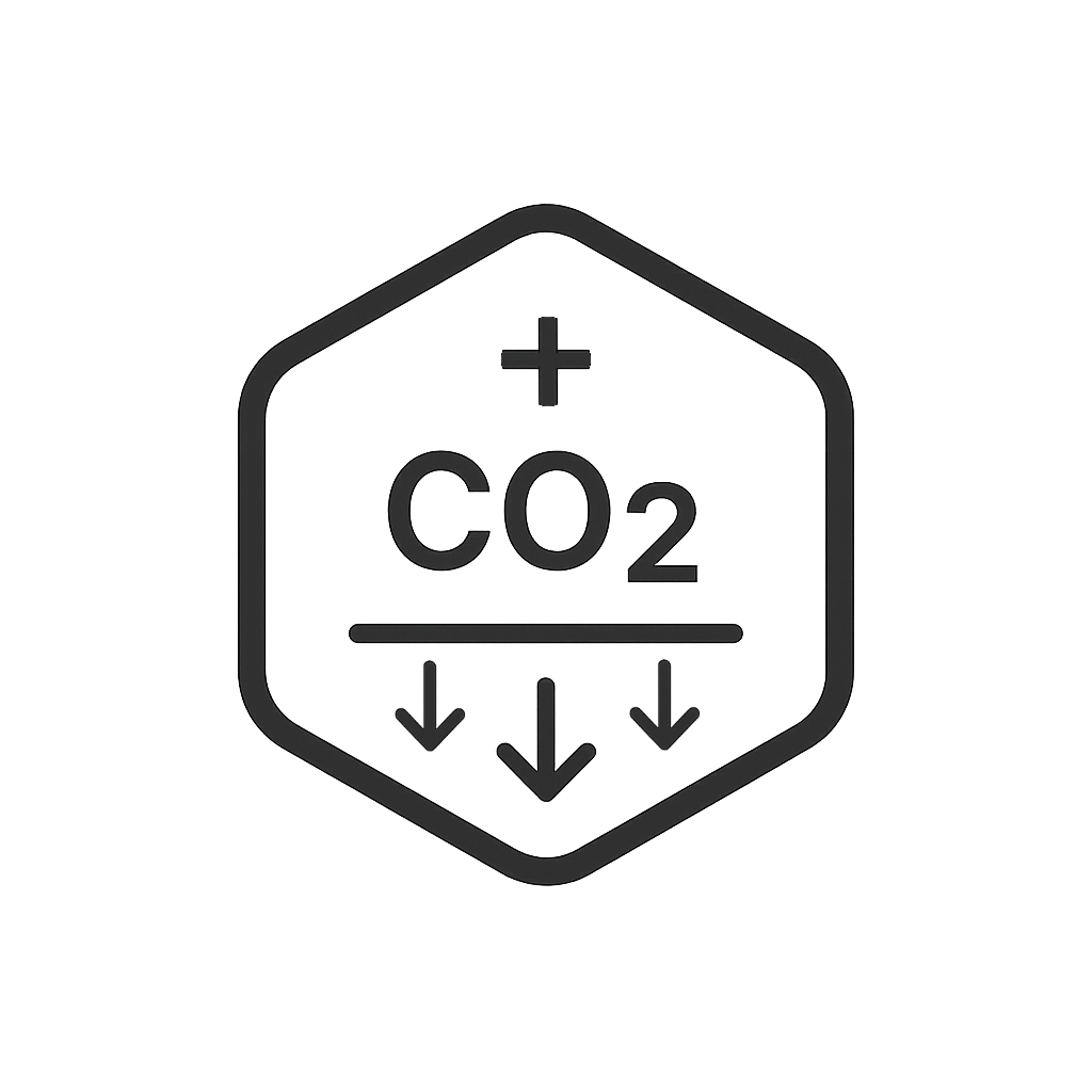 CO₂ project