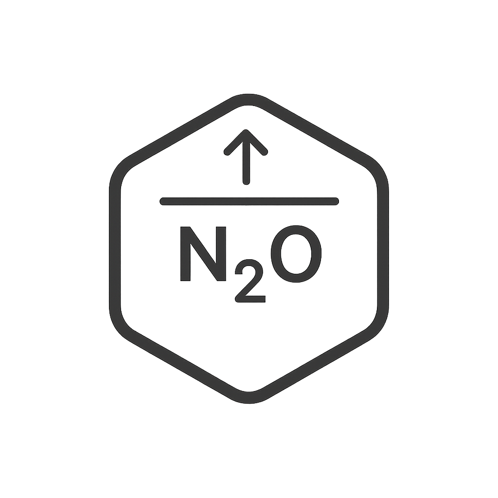 N₂O baseline