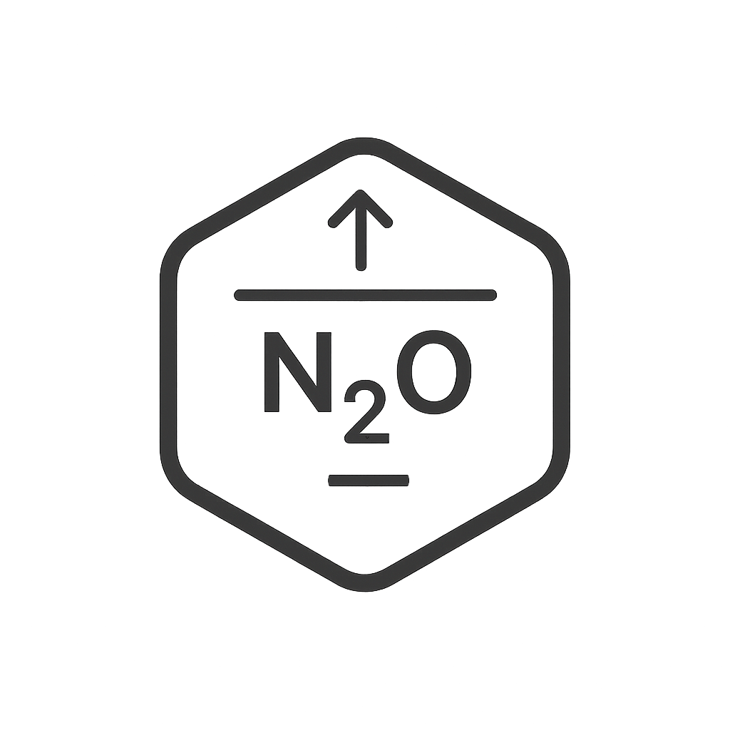 N₂O emission project